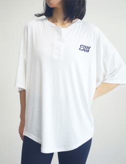 体型カバー画像1